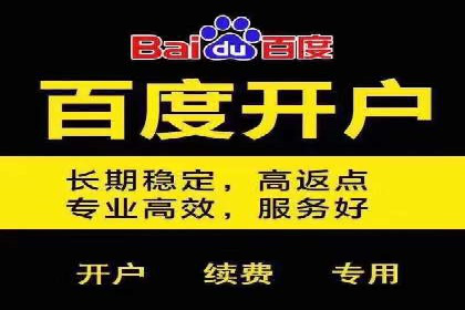 案例分析：利用百度推广打造爆款产品